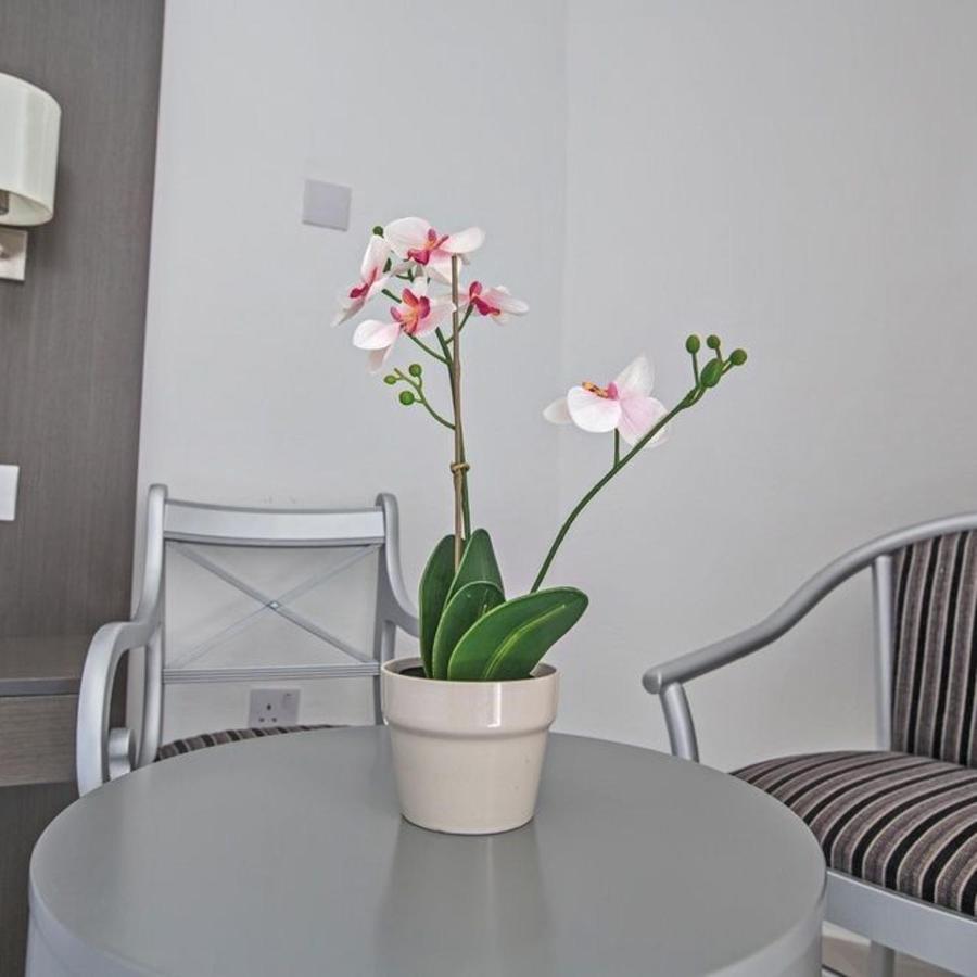 Napa Tsokkos Hotel Айя Напа Екстериор снимка